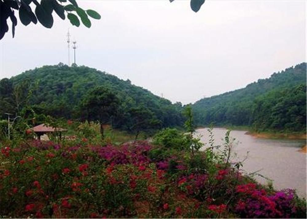 Phoenix Hotel Wuyi Jiangmen Extérieur photo
